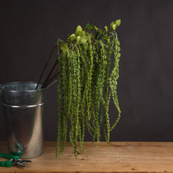 Artificial Amaranthus Green